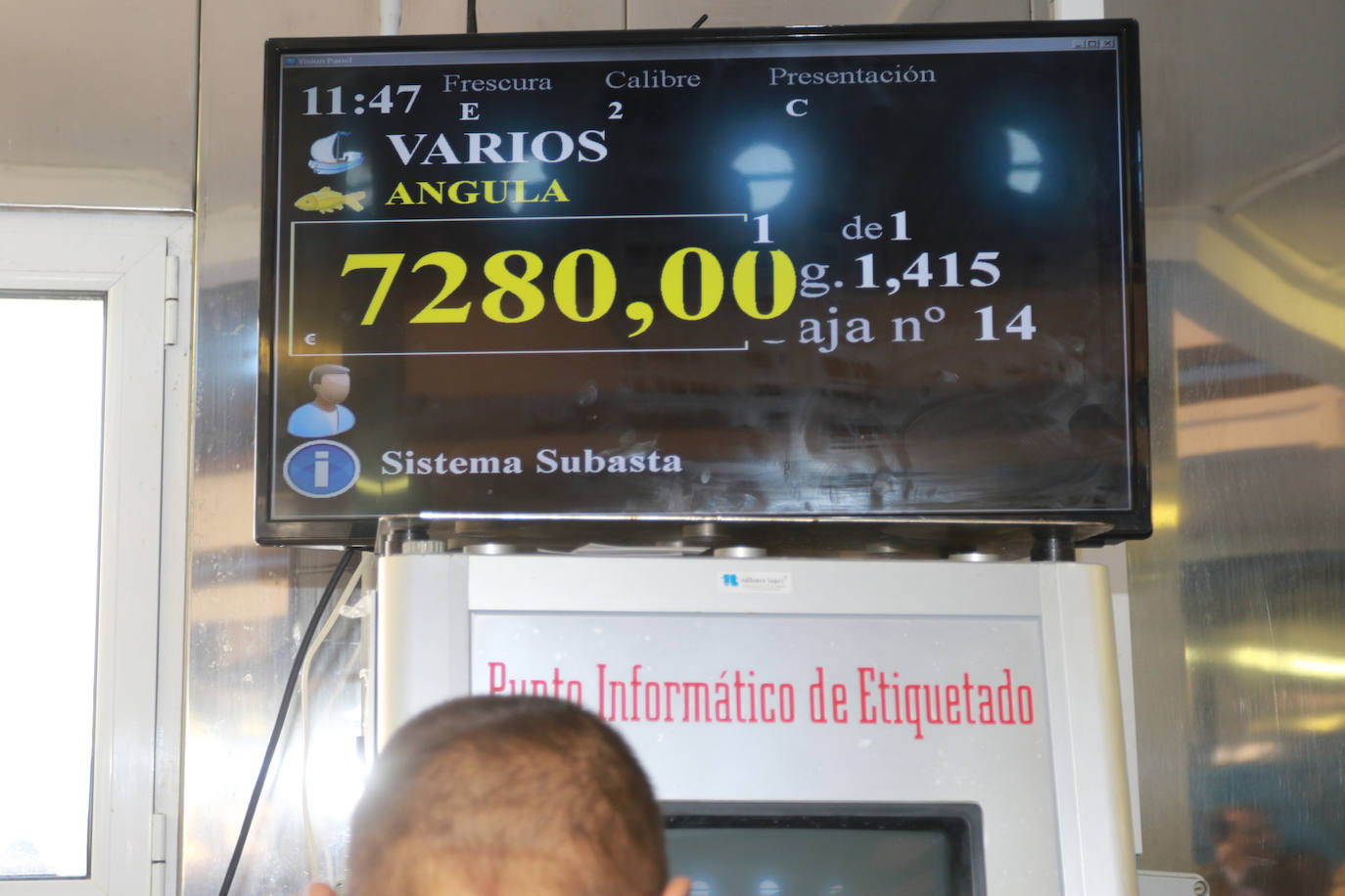 Fotos: Nuevo récord en Ribadesella: la primera angula a 7.280 euros el kilo