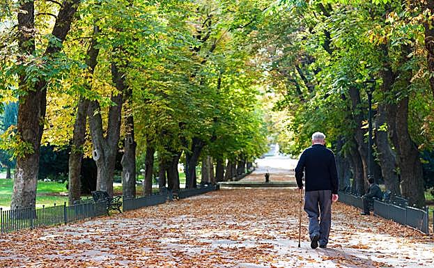 ¿Se puede cobrar la pensión en efectivo?