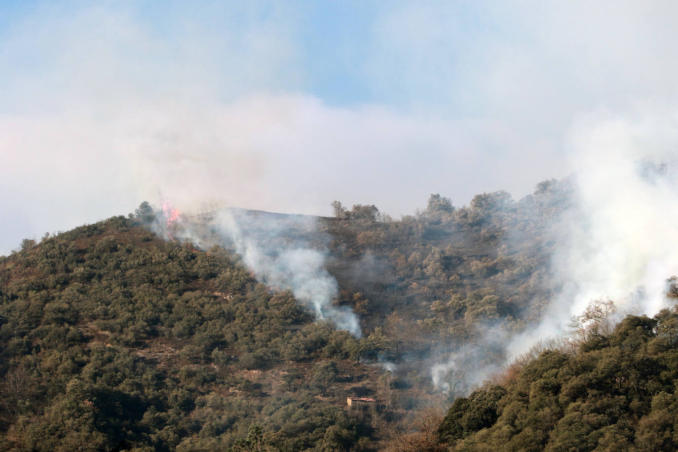 Fotos: Lucha contra el fuego en Lena