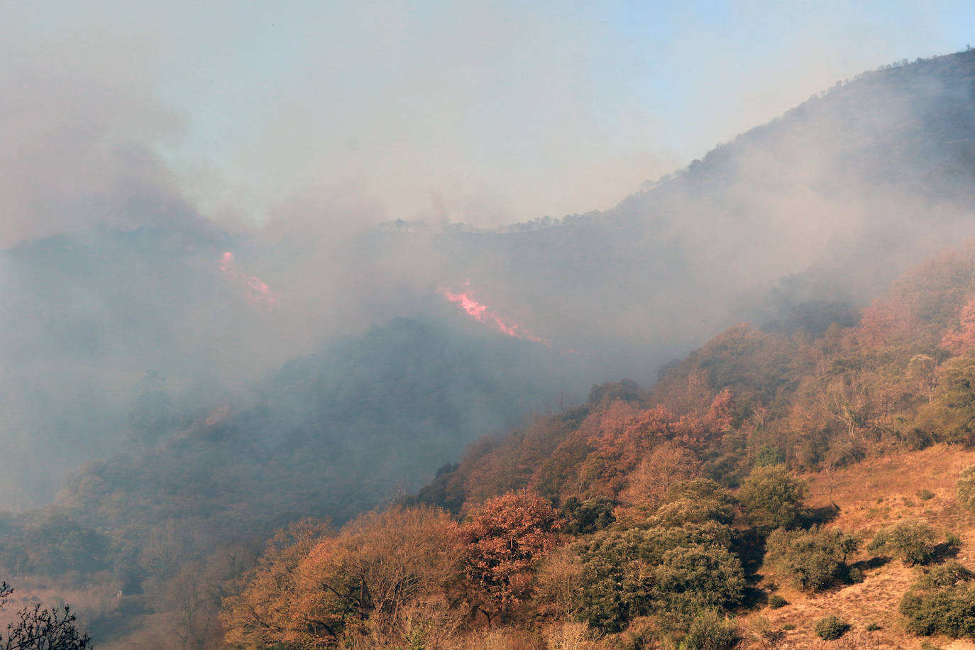 Fotos: Lucha contra el fuego en Lena