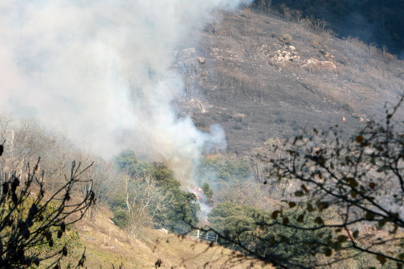 Fotos: Lucha contra el fuego en Lena