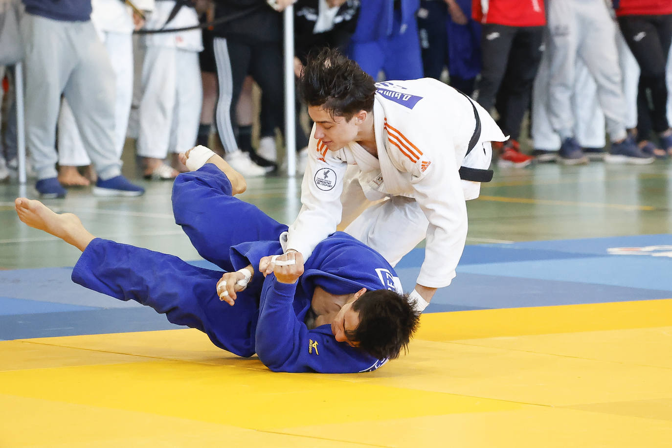 Fotos: Medallas asturianas en la Copa de España de Judo celebrada en Gijón