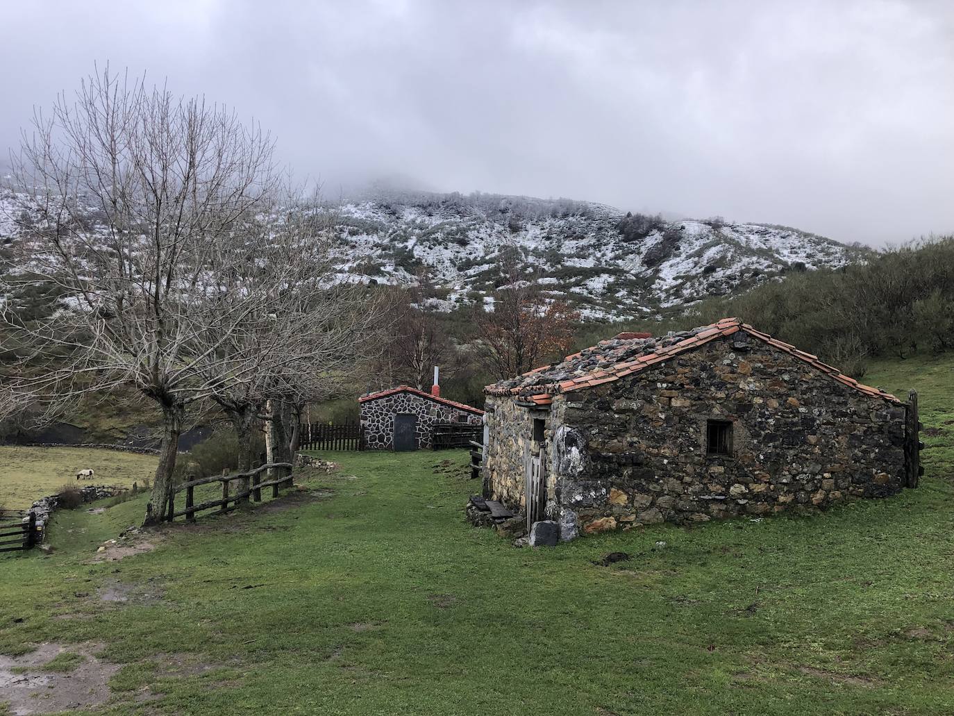 Fotos:Asturias luce las primeras nieves