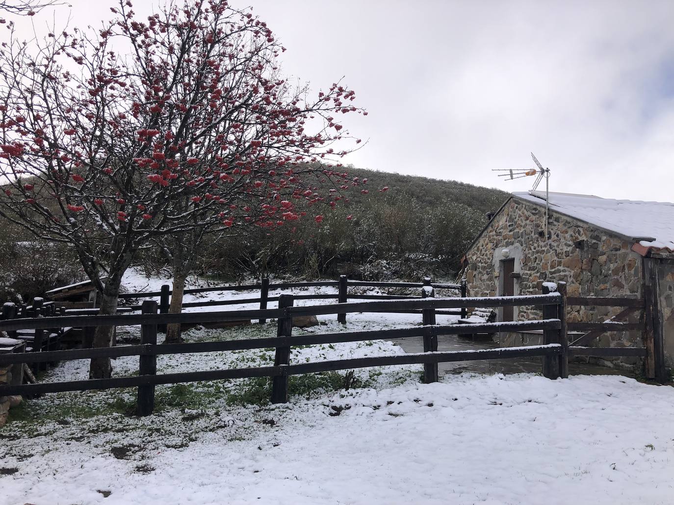 Fotos:Asturias luce las primeras nieves