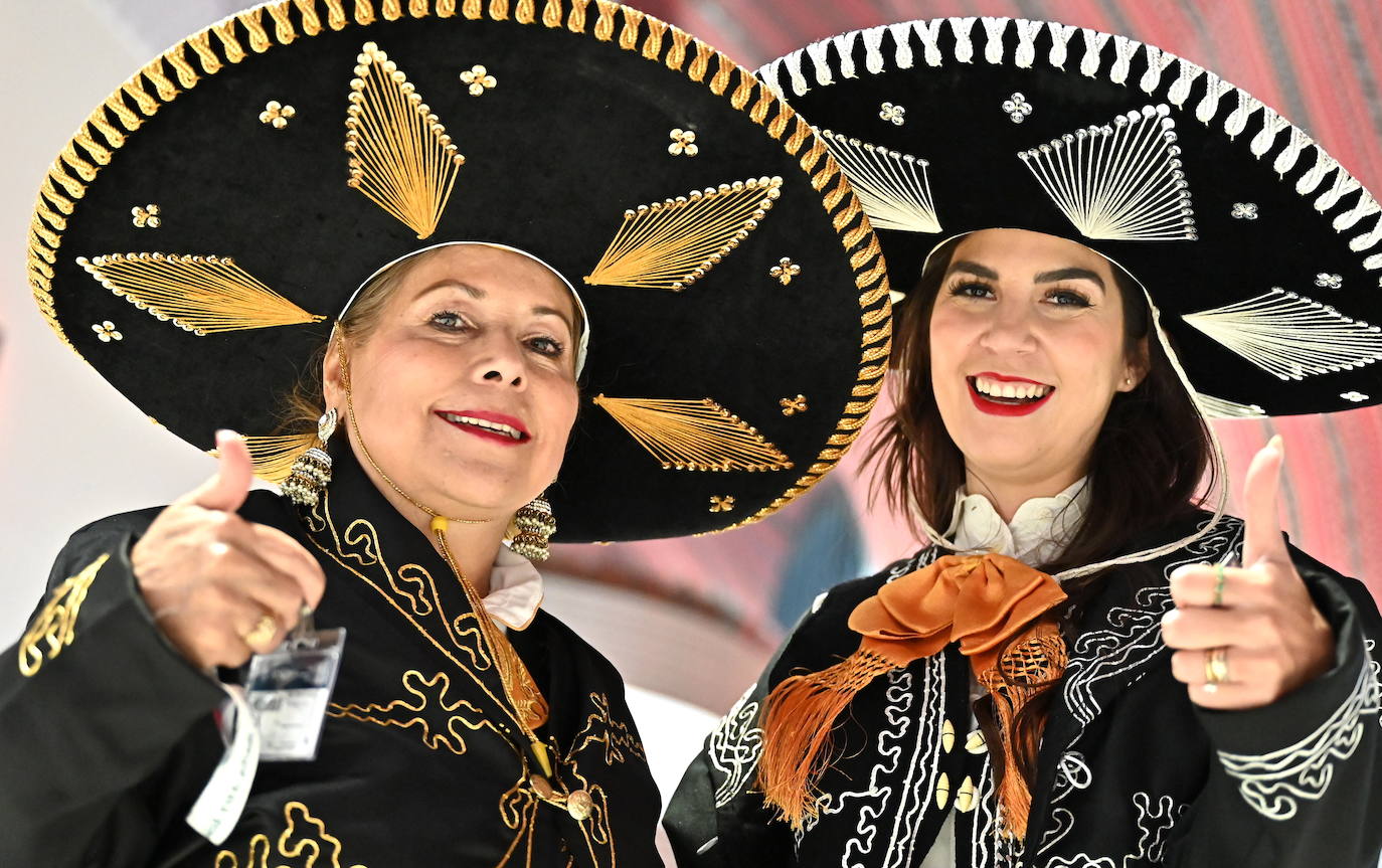 Fotos: Los espectadores más peculiares del Mundial