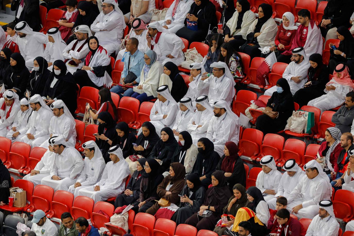 Fotos: Los espectadores más peculiares del Mundial