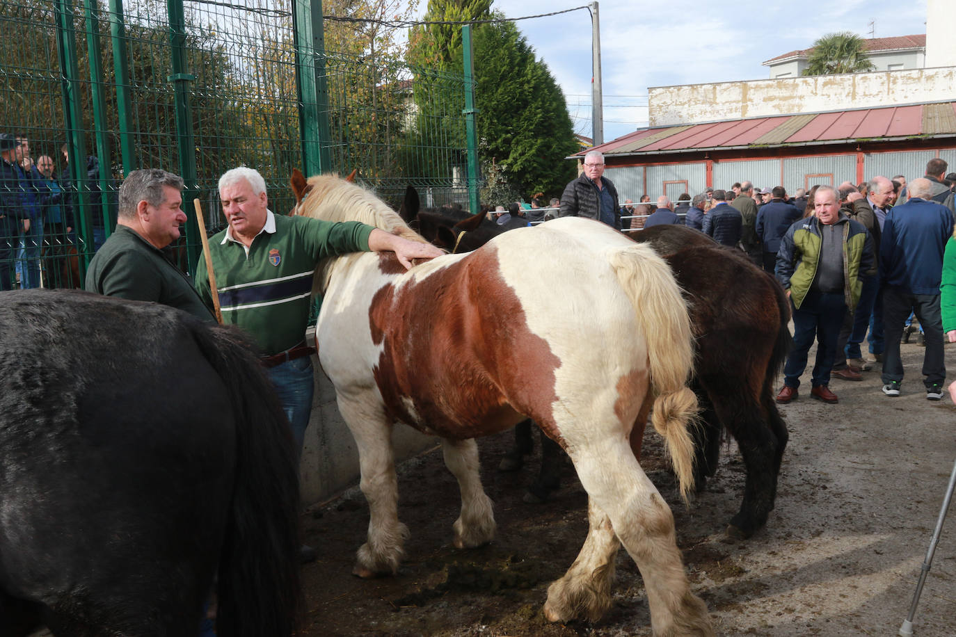 Fotos: Cabañaquinta brilla con El Mercaón