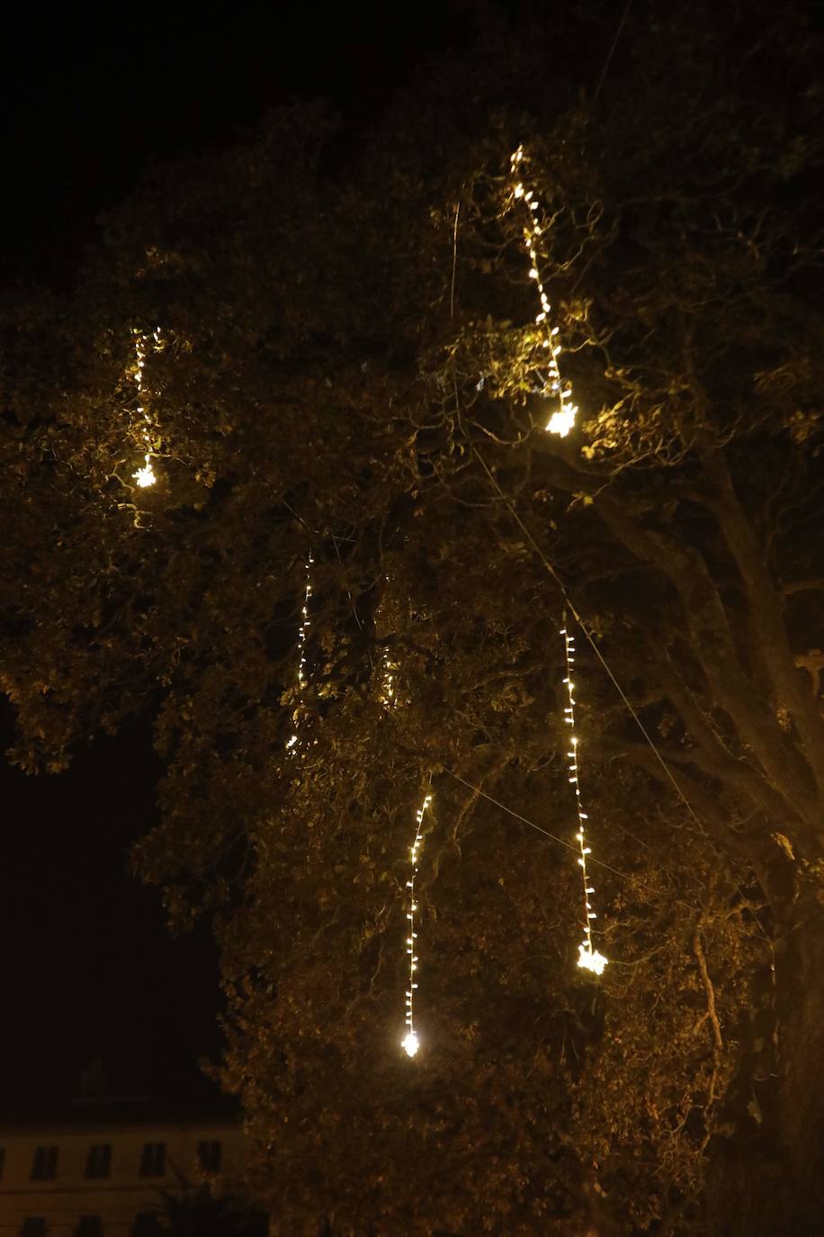 Fotos: Gijón estrena su alumbrado de Navidad más llamativo y deslumbrante