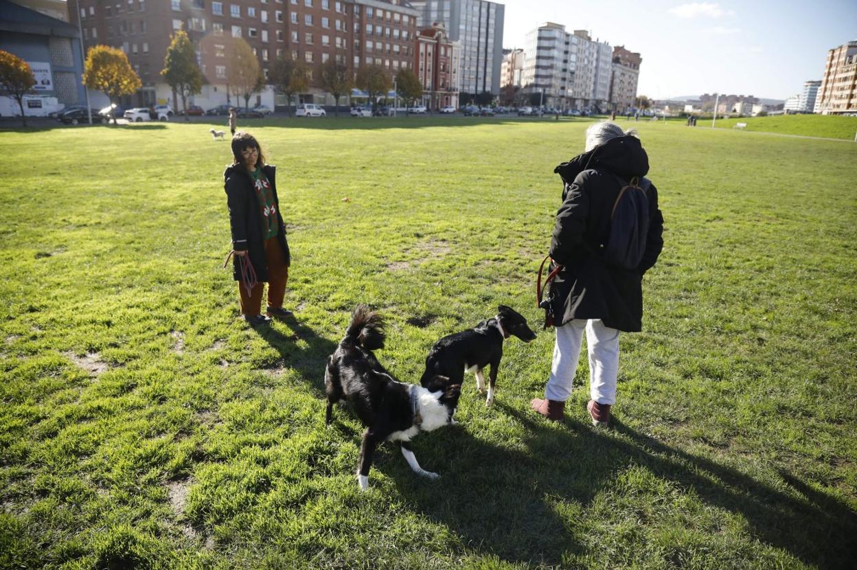 Dos mujeres pasean a sus perros en el 'solarón'. 
