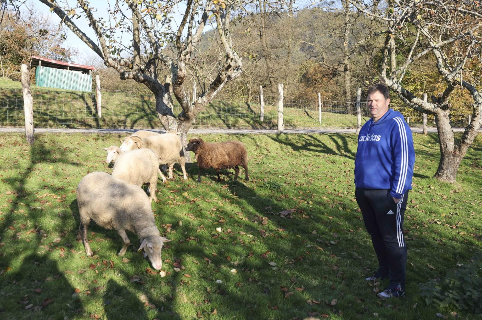 Roberto Rodríguez, en la finca con sus ovejas, en Premió. 