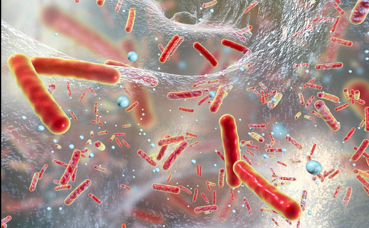 Alerta sanitaria: Europa, ante un notable aumento de casos de difteria resistente a antibióticos