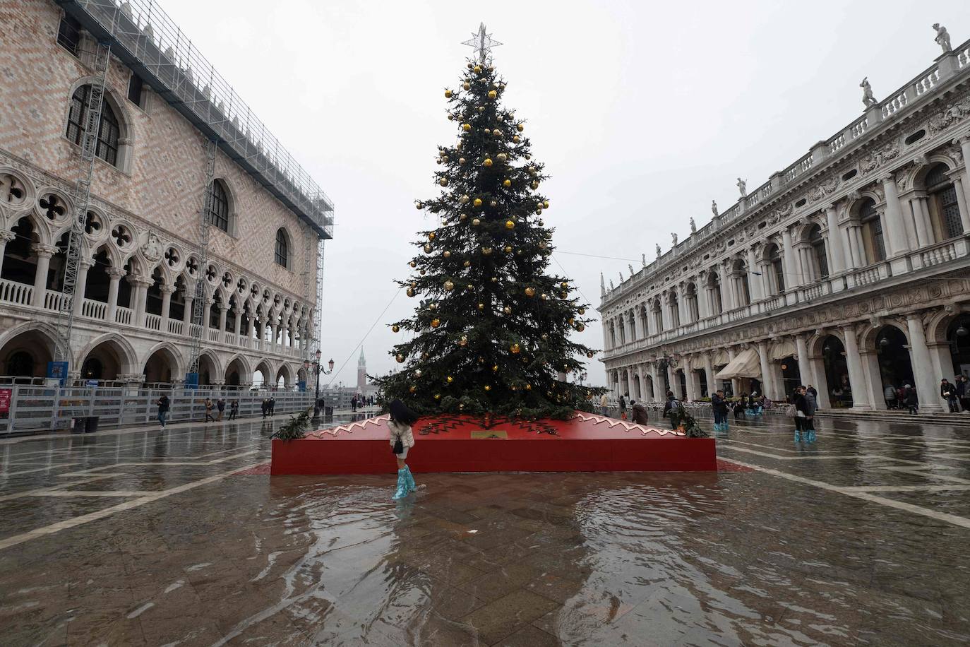 Fotos: Venecia inundada se protege frente a la &#039;Acqua alta&#039;