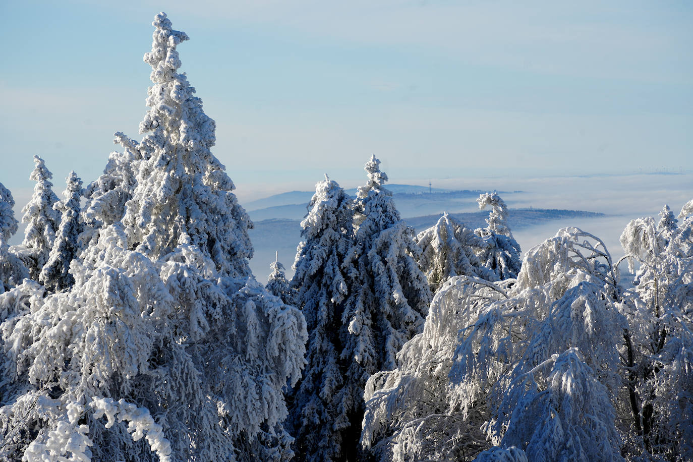 Fotos: El mundo se tiñe de blanco