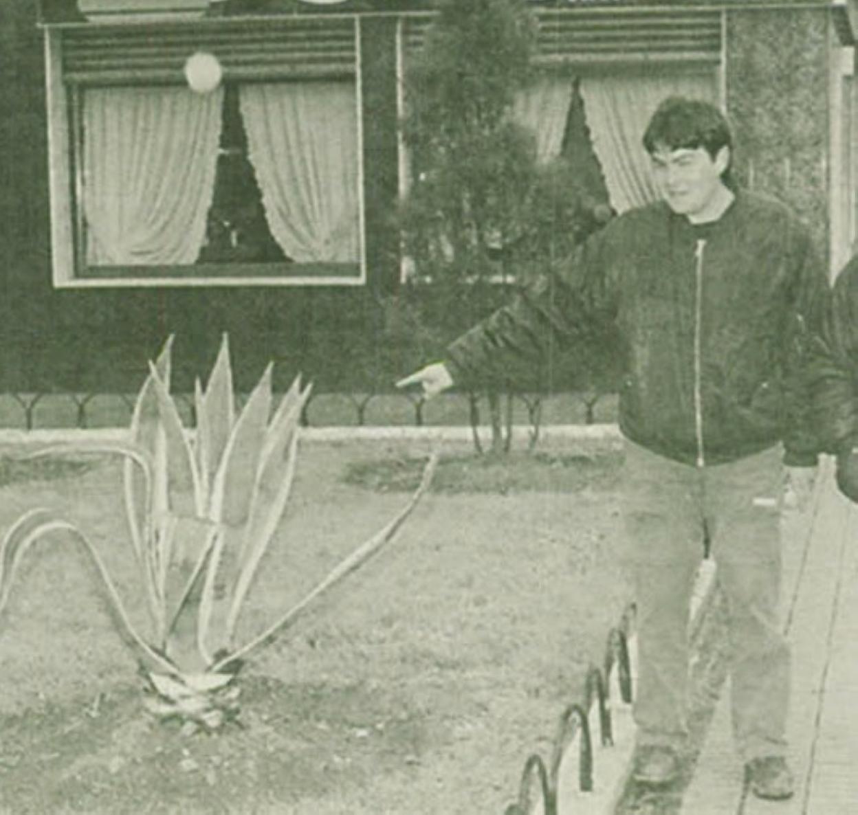 Un joven apunta al ágave 'herido' en El Cerillero.