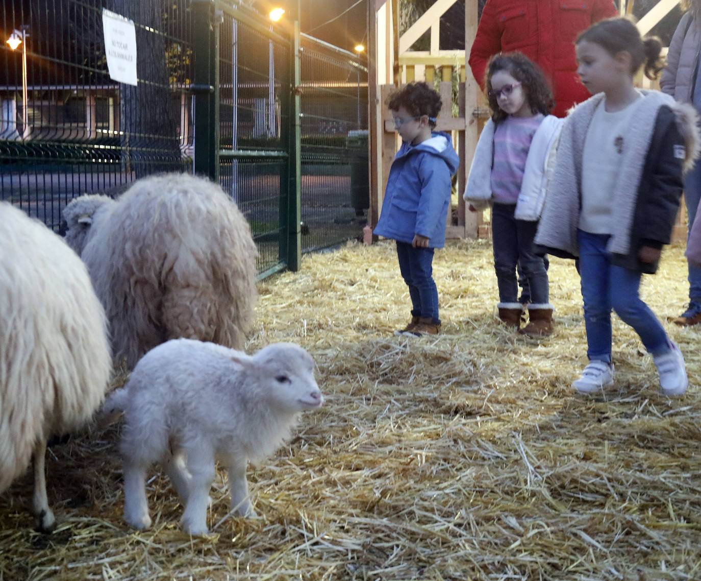 Fotos: «Es la feria de todos los niños y una tradición más de la Navidad»