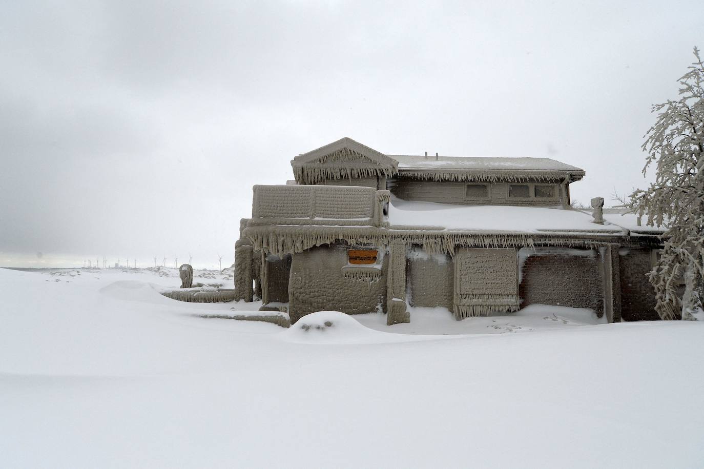 Fotos: Nueva York se congela: las increíbles imágenes de una ciudad sepultada por la nieve