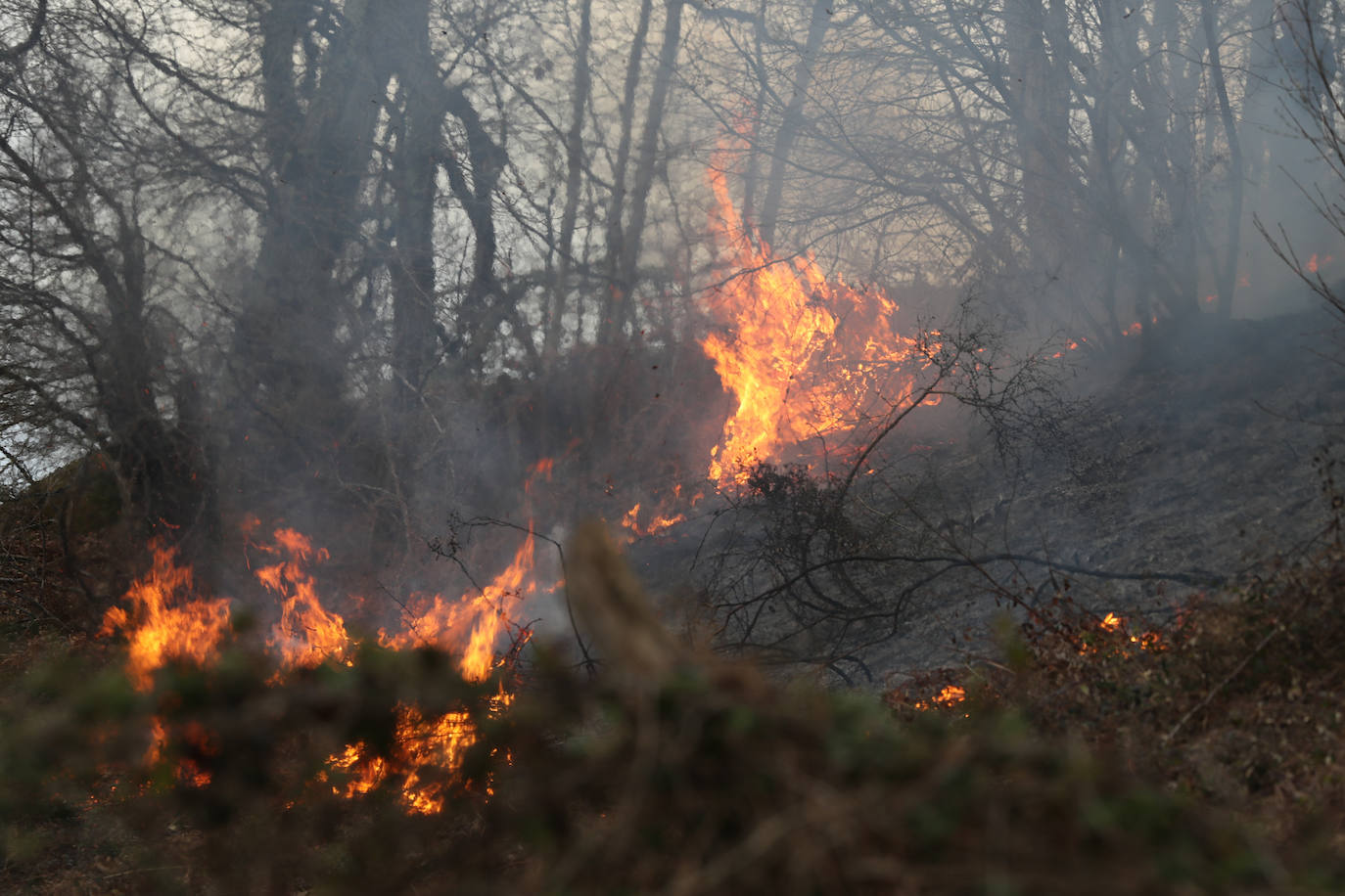 Lucha contra el fuego en Asturias