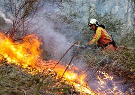 Bomberos trabajan en la extinción de un incendio forestal en Blimea.