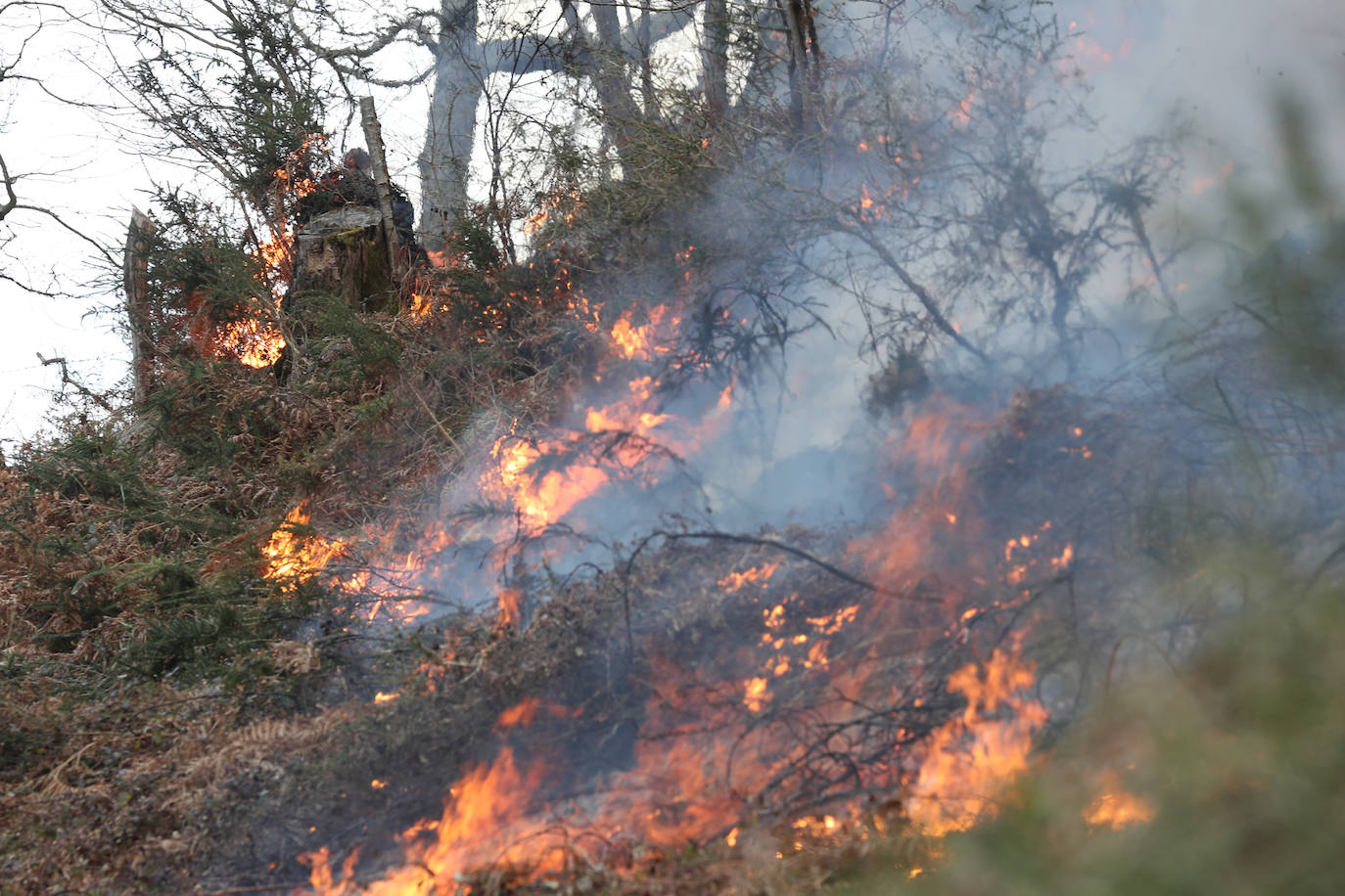 Lucha contra el fuego en Asturias