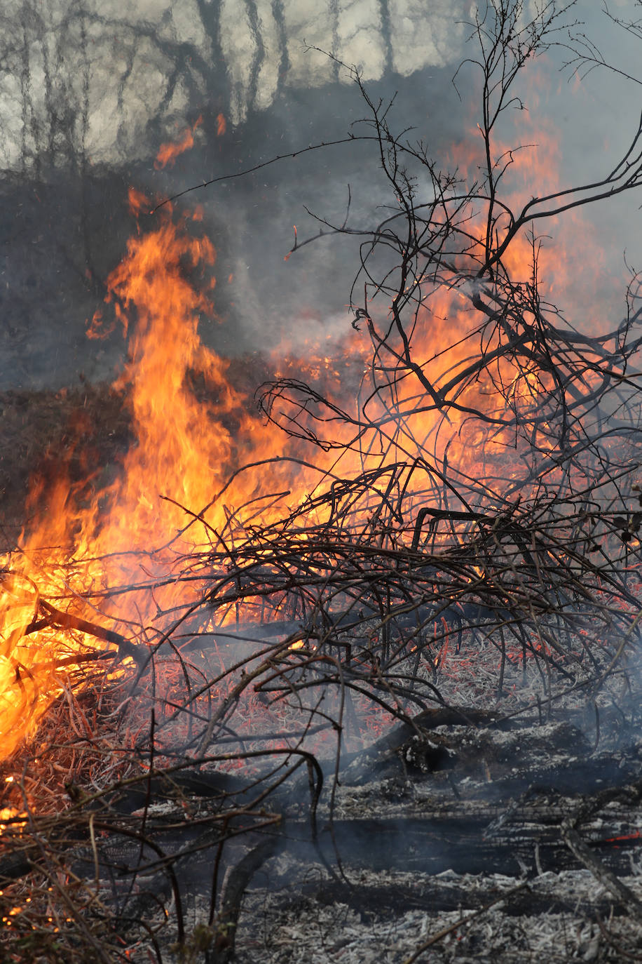 Lucha contra el fuego en Asturias