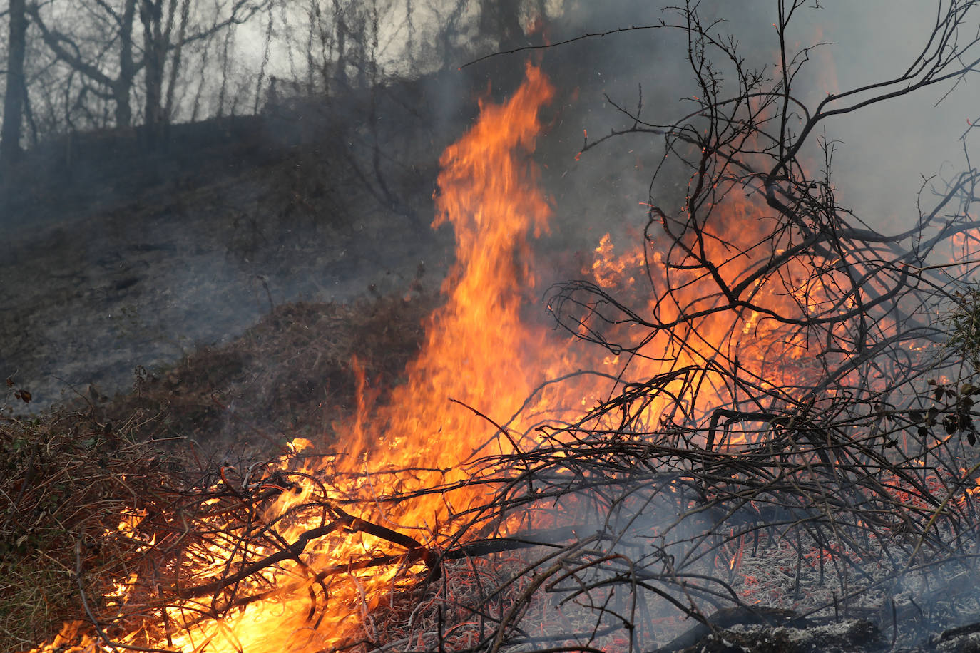 Lucha contra el fuego en Asturias