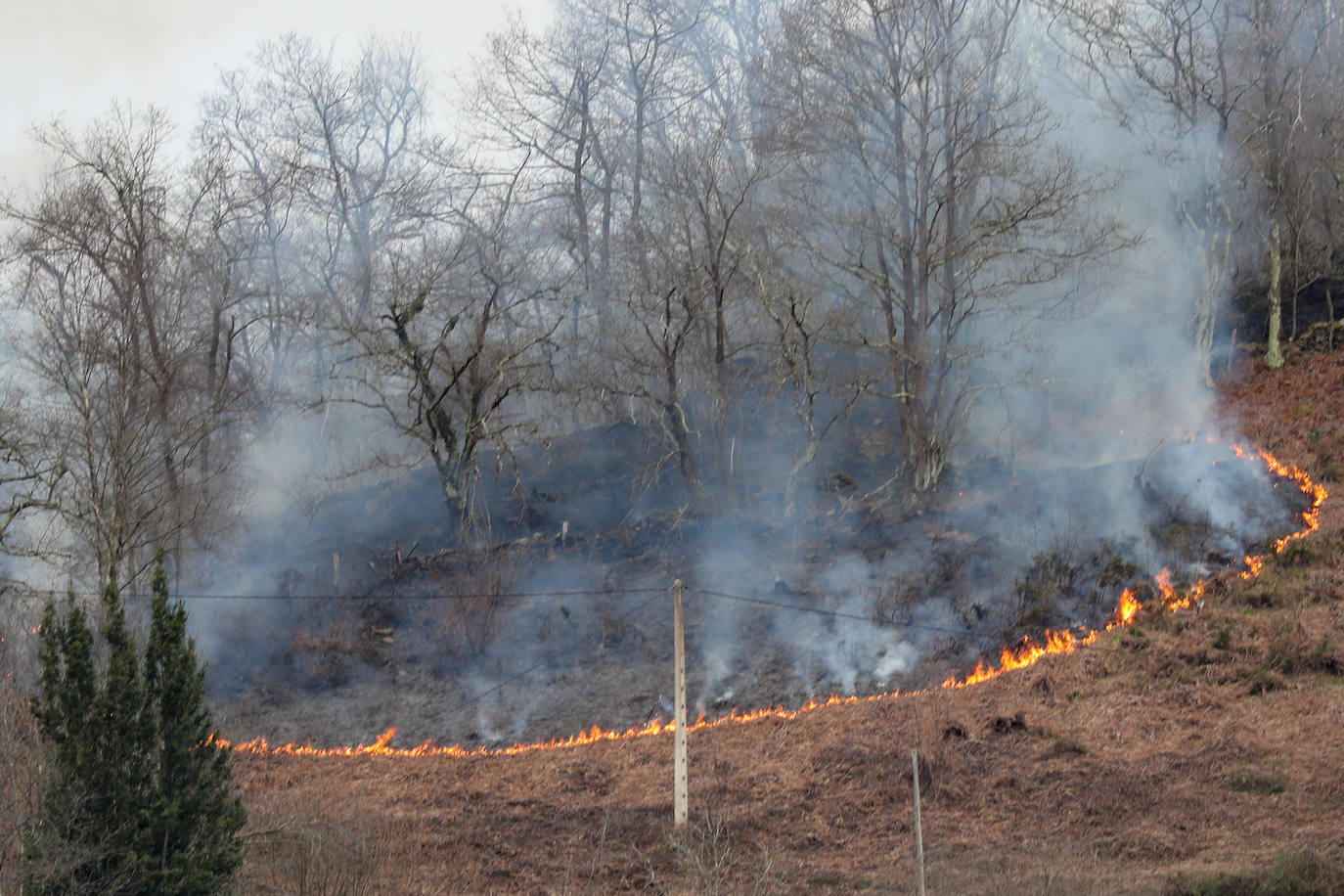 Lucha contra el fuego en Asturias