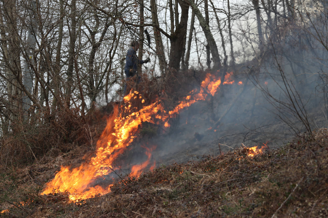 Lucha contra el fuego en Asturias