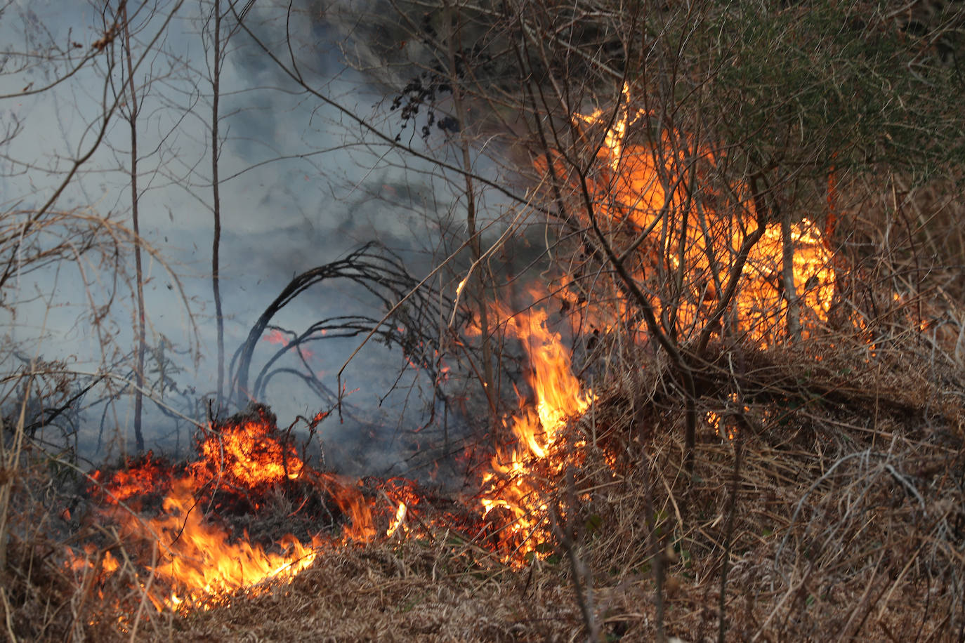 Lucha contra el fuego en Asturias