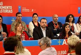 Un momento de la celebración del comité autonómico de la FSA este sábado.