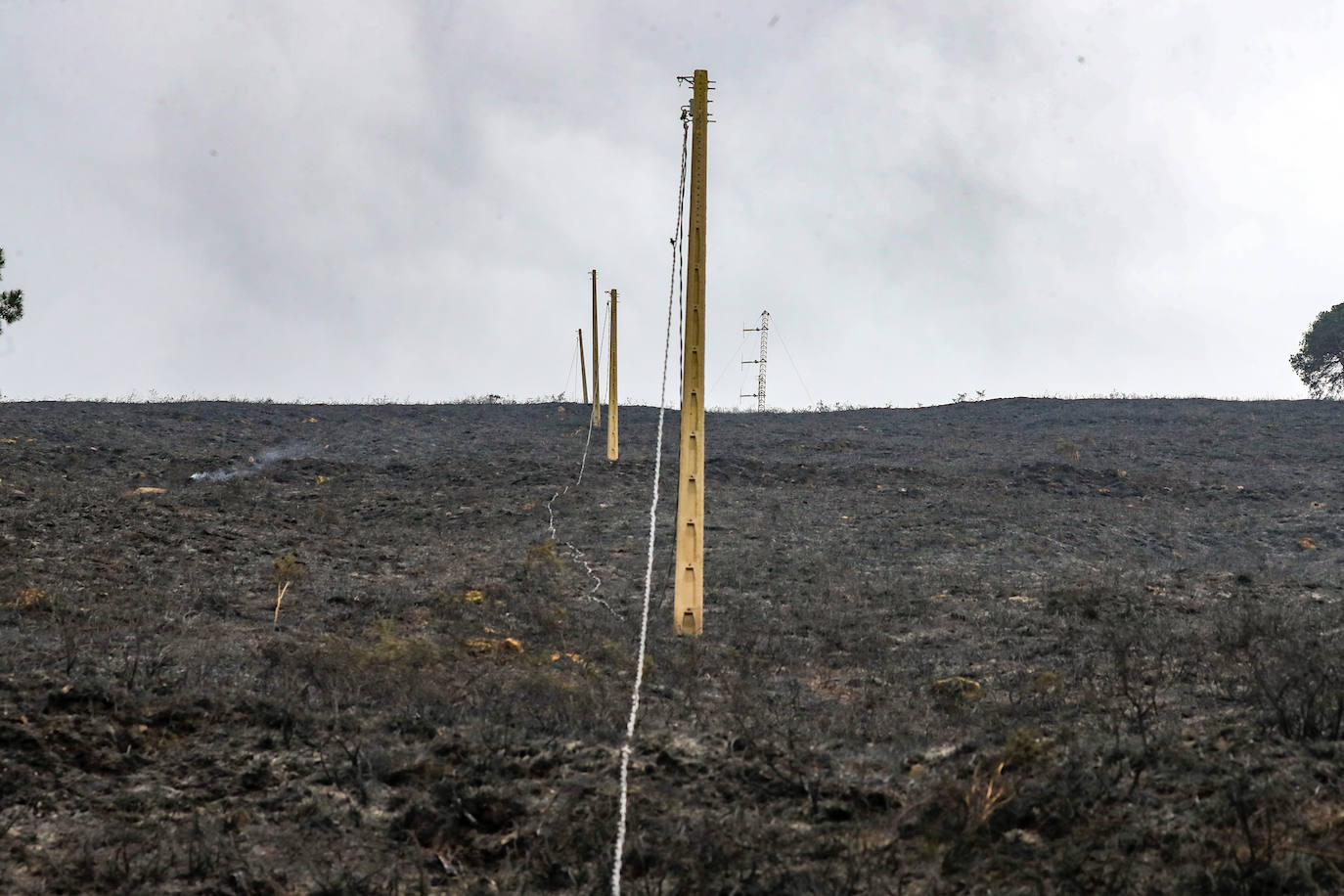 Las llamas amenazan la región