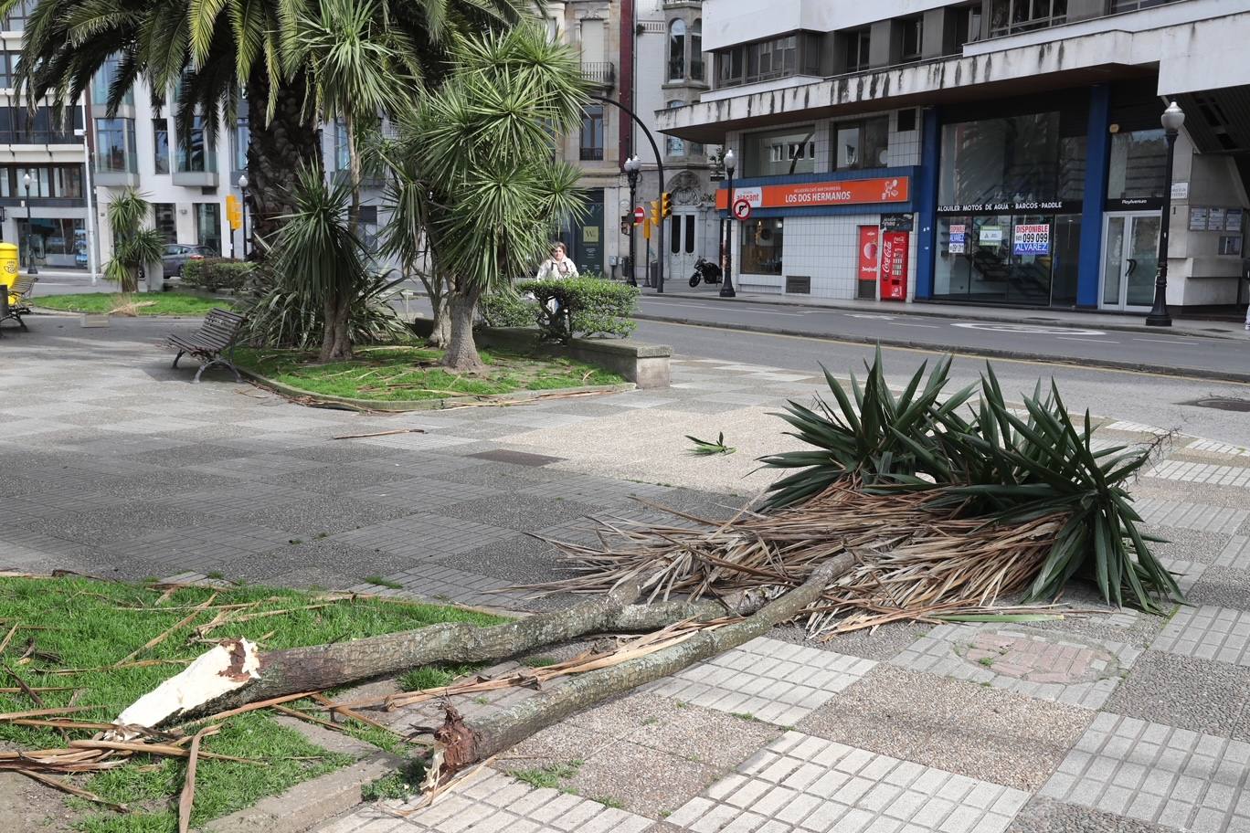 El viento deja un reguero de daños en Gijón