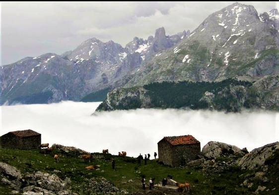 Las altas majadas de los Picos de Europa, hogar y lugar de trabajo del pastoreo, son escenarios principales del trail Pastoras de Portudera