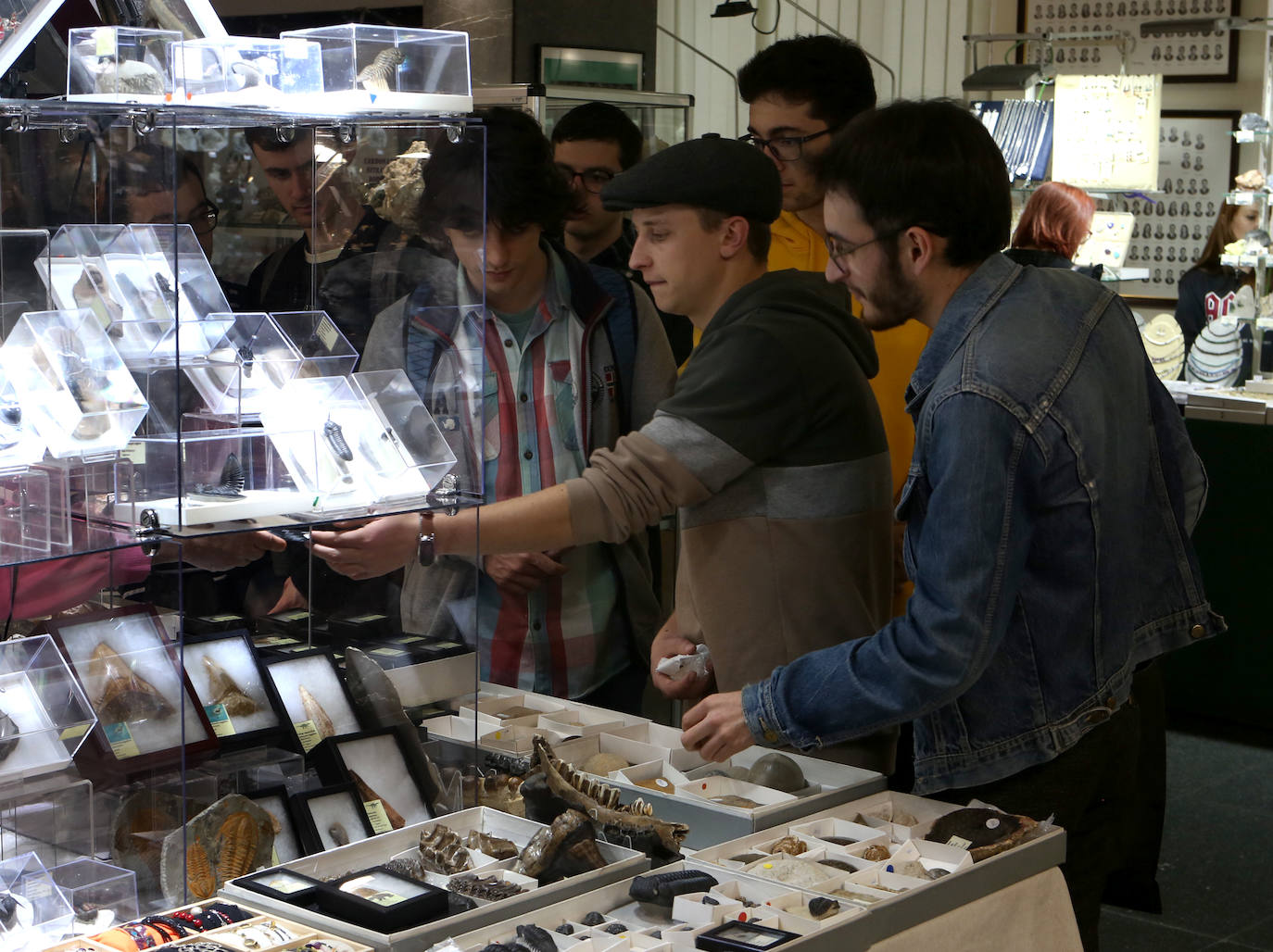 Minerales, gemas y fósiles únicos en el mundo llegan a Asturias