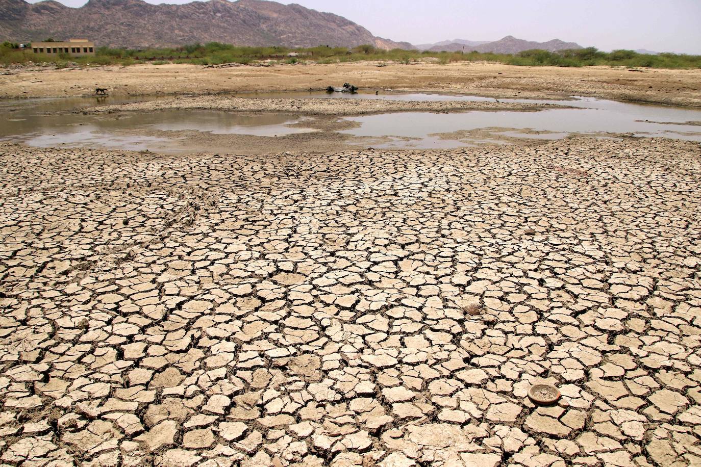 Esta imagen fue tomada el 2 de junio de 2019. Muestra una vista general de un lago que se seca en un caluroso día de verano cerca de Ajmer.