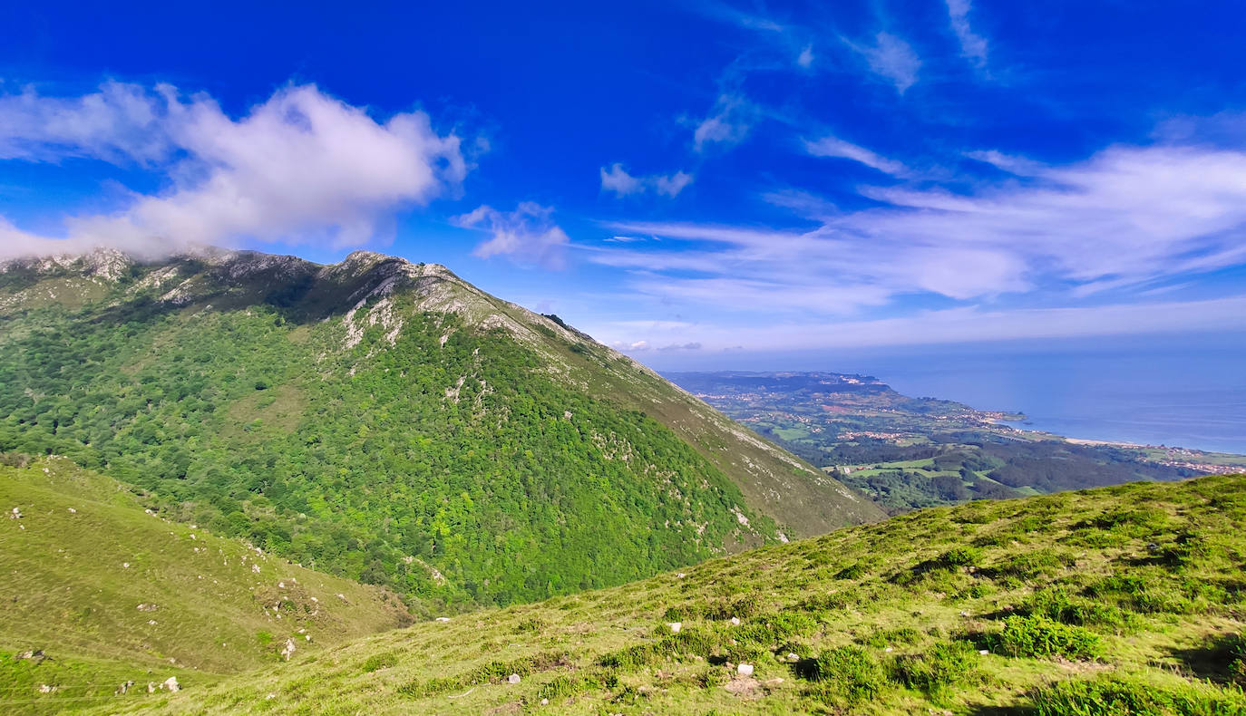 Un paseo por los bosques asturianos