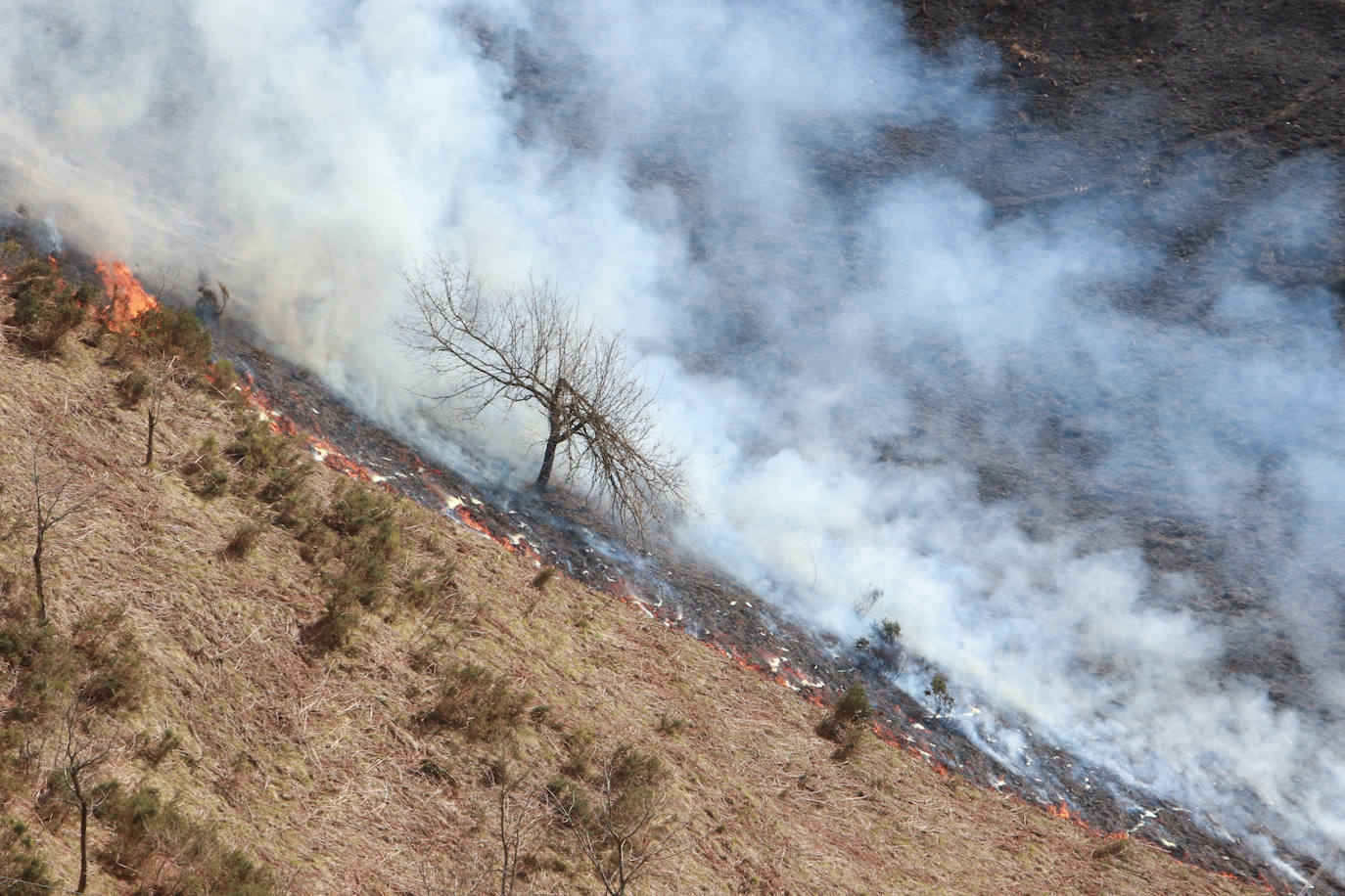 Asturias, en alerta por incendios forestales