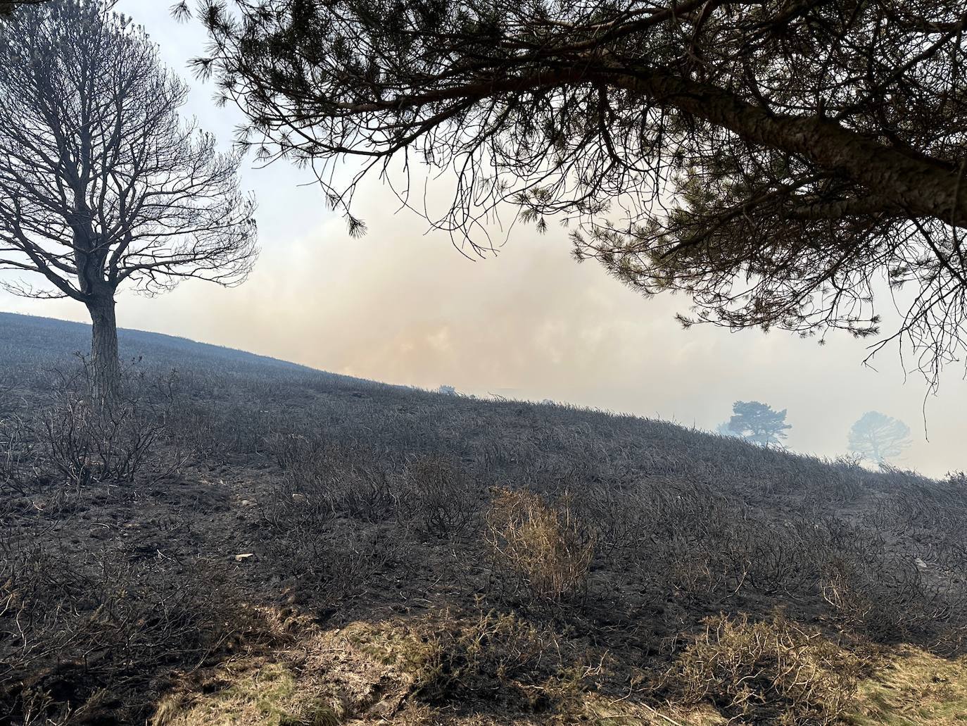 La dura lucha contra el fuego en Asturias