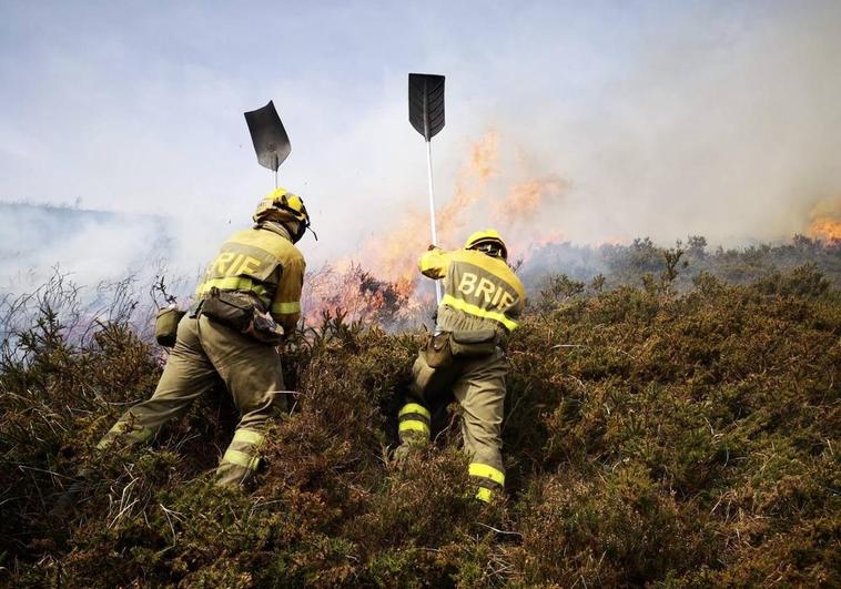 La BRIF a pie de fuego