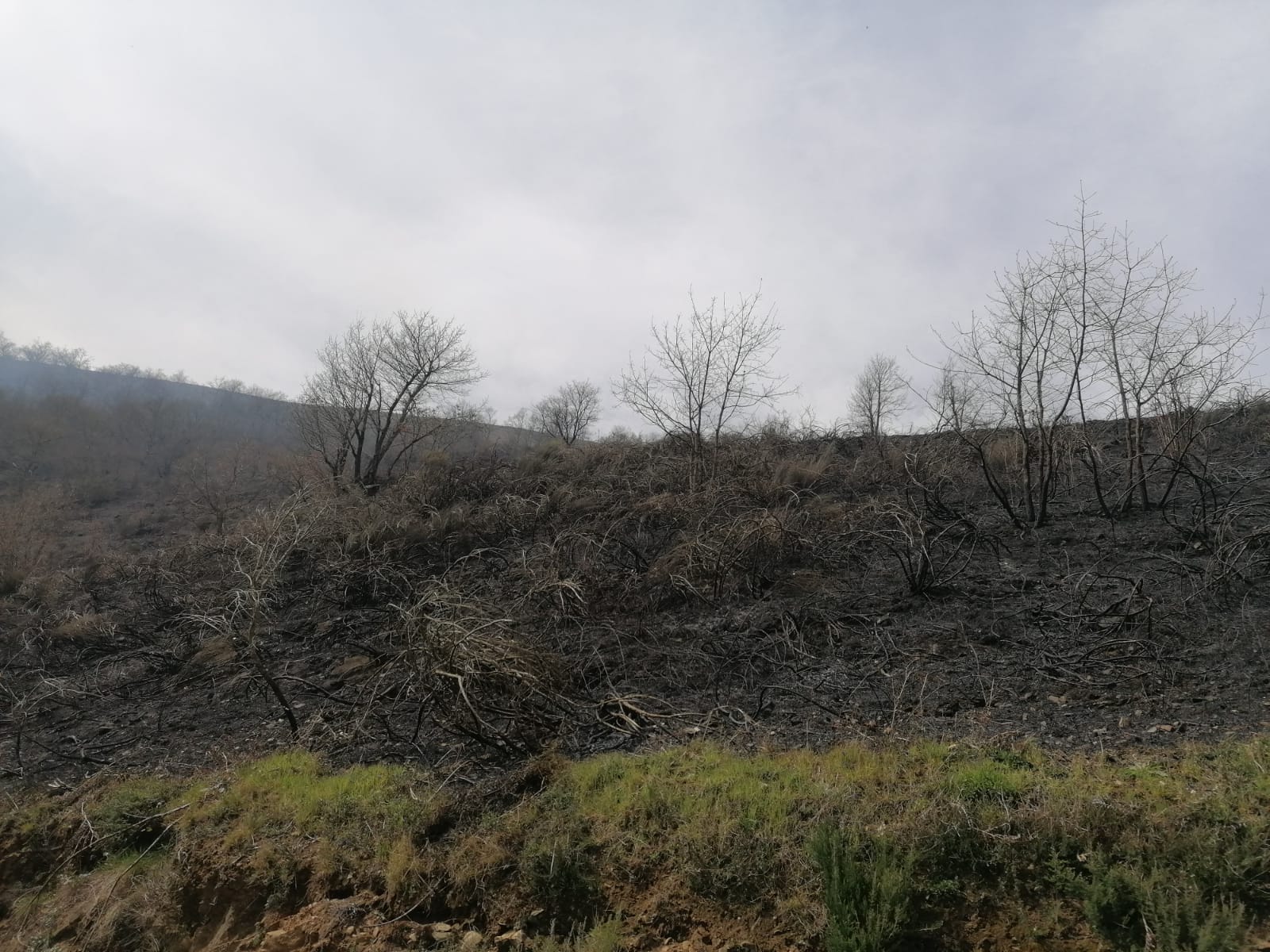 La dura lucha contra el fuego en Asturias