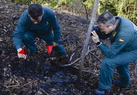 Agentes del Seprona investigan el origen de un incendio en 2017.