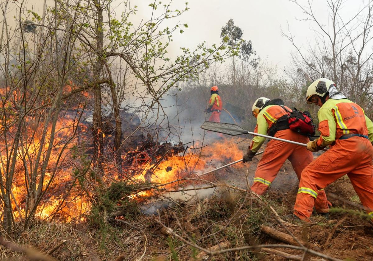 Bomberos del Principado, peleando contra las llamas con los batefuegos.