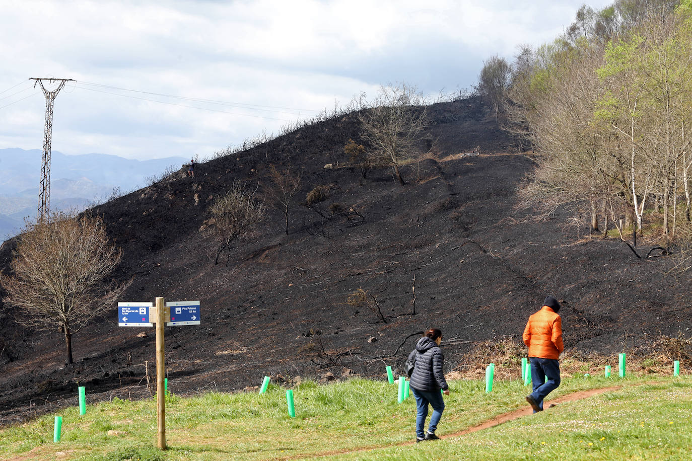 La Policía inicia la investigación en el Naranco con drones y helicópteros