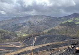 El Principado da por controlada la situación de los incendios