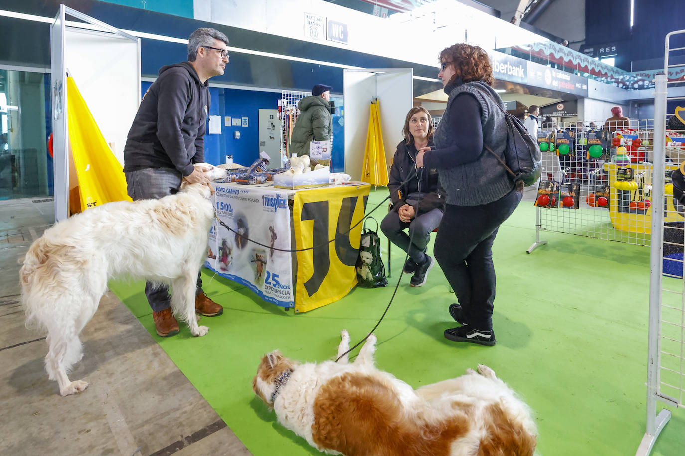 Principets convoca a 1.400 animales en Avilés