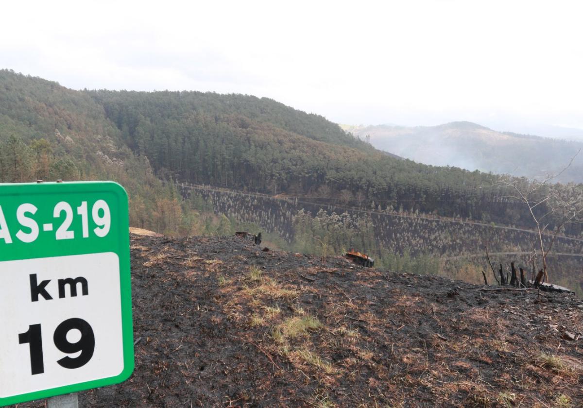 Daños causados por los incendios en el concejo de Valdés vistos desde la carretera AS-219.