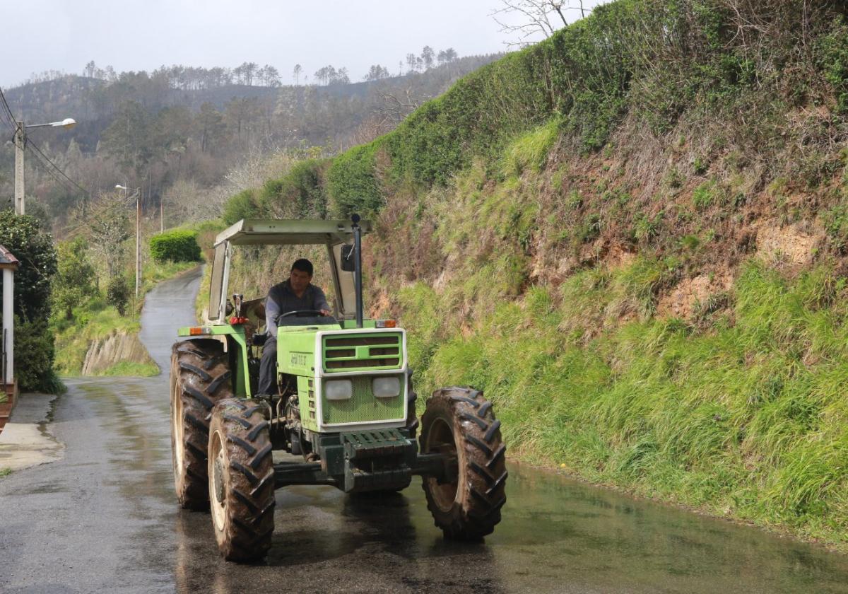 Un ganadero se desplaza con su tractor por el valle de Paredes, con el monte quemado detrás.