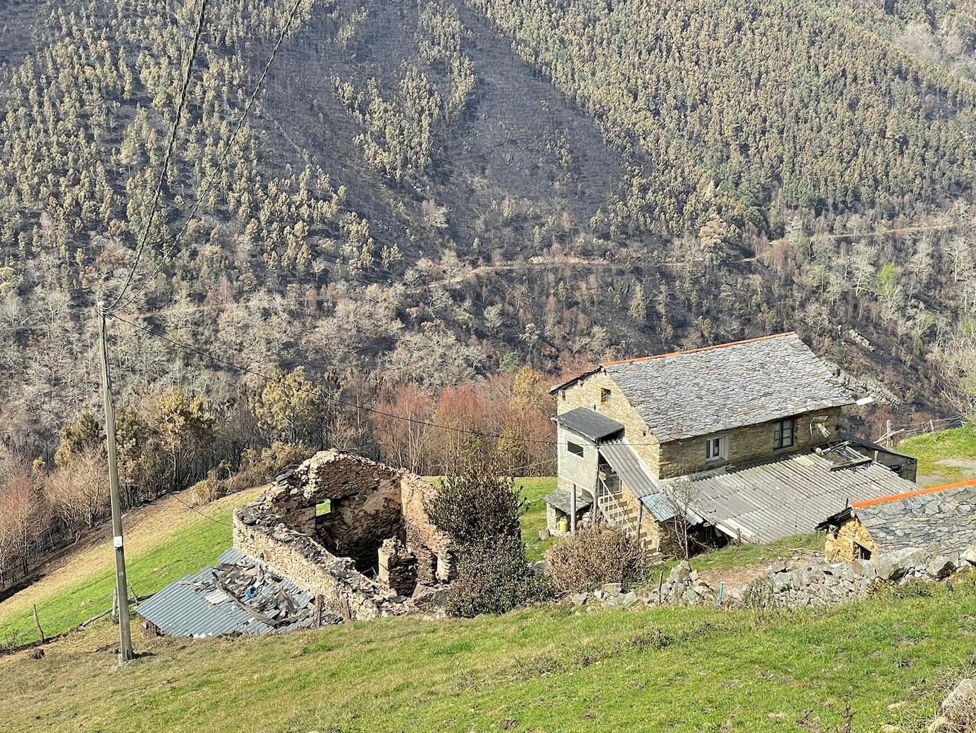 Las ruinas tras los incendios en Asturias