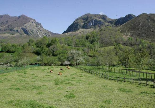 Vistas desde el comienzo de la ruta