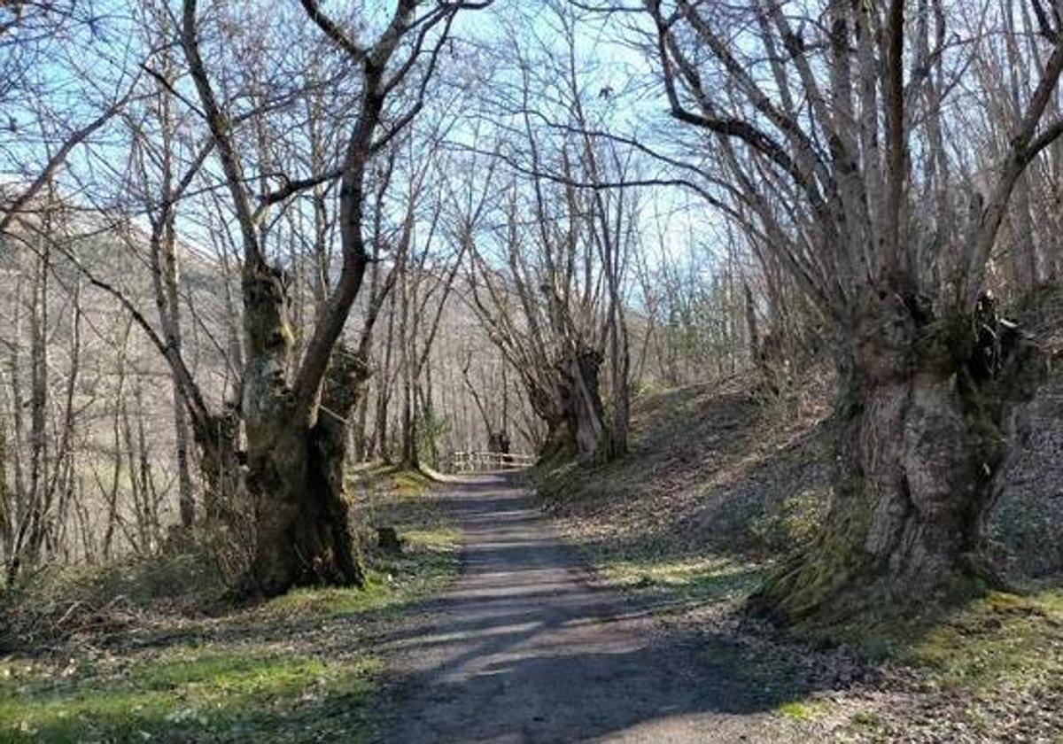 Senda del Oso: la mejor ruta para desconectar esta Semana Santa en Asturias