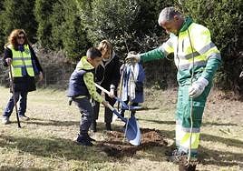 La alcaldesa participó ayer junto a un niño en la plantación de algunos de los ejemplares.
